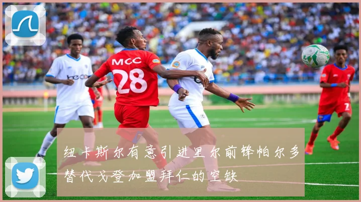 纽卡斯尔有意引进里尔前锋帕尔多替代戈登加盟拜仁的空缺