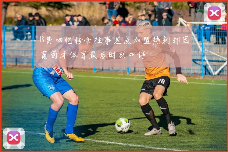 B费回忆转会往事差点加盟热刺却因葡萄牙体育最后时刻叫停